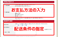 お支払方法の入力・配送条件の指定