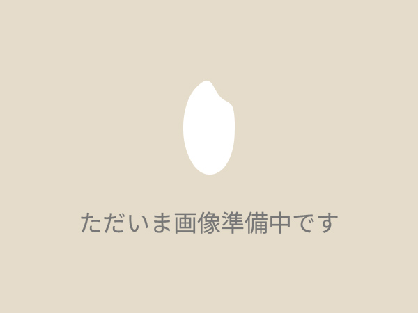 ただいま画像準備中です