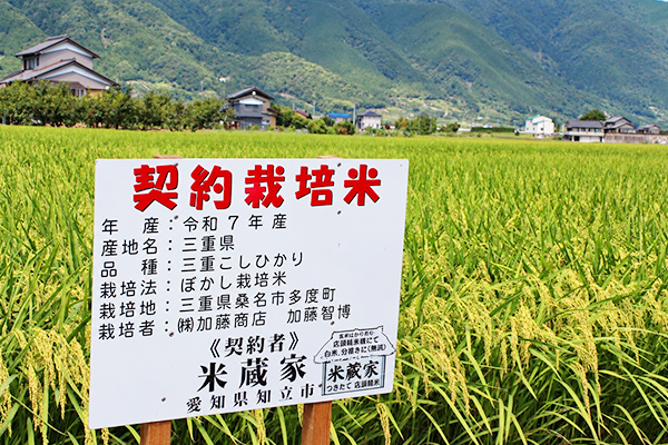 豊かな自然の恵みを受け、契約農家が黄金色に育て上げた美しい田んぼの風景
