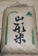山形県産　ひとめぼれ