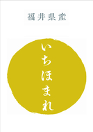 福井県産　いちほまれ