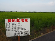 こめヌカ栽培米　愛知県産　あいちのかおり